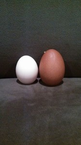 two eggs