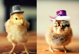 Dressed-up and ready for Easter.
