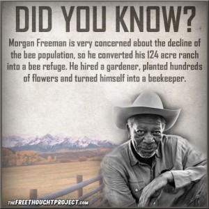 Morgan Freeman