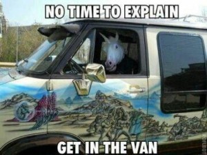 unicorn in a van